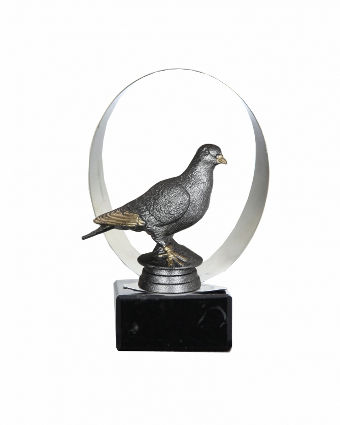 2195-012A Columbofilia.